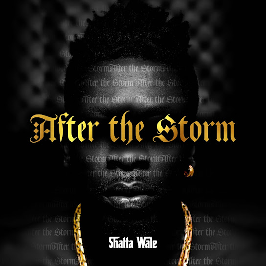 Shatta Wale - Mahama Paper