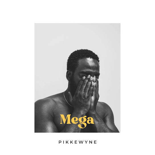 Mega - Pikkewyne