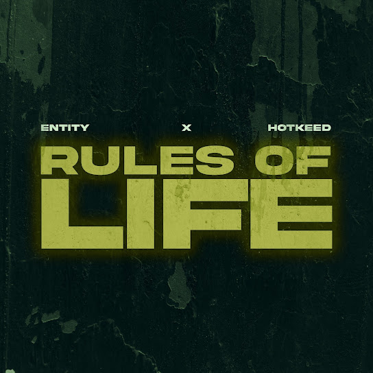 Entity - Rules Of Life