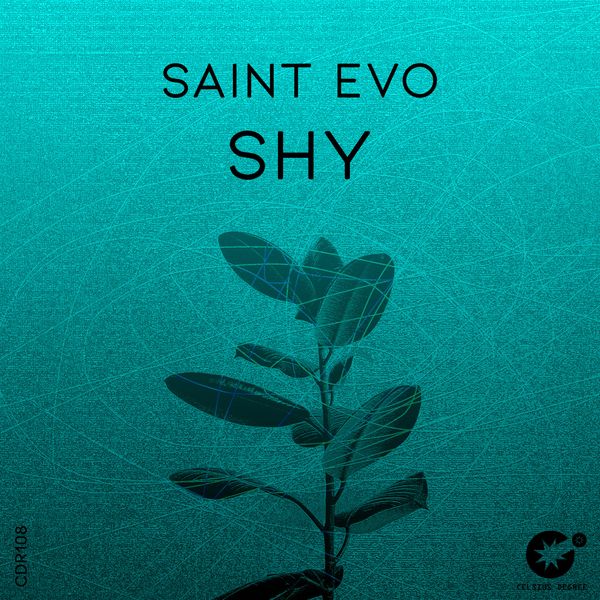 Saint Evo - Shy (Original Mix)