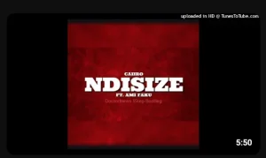 Caiiro Ft. Ami Faku – Ndisize (DoctorNews 3Step Bootleg)