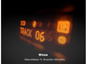 MalumNator – Woza (feat. Brandon Dhludhlu)