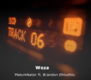 MalumNator – Woza (ft. Brandon Dhludhlu)