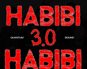 Sizwe Nineteen – Habibi 3.0 (Quantum Sound) ft R-Bee, Toxic MusiQ & Dzii