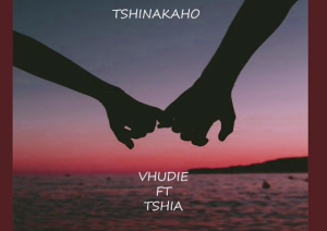 Vhudie – TSHINAKAHO (feat. TSHIA)