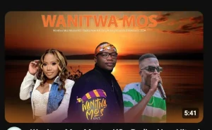 Wanitwa Mos Master KG – Radira ft King Monada & Makhadzi