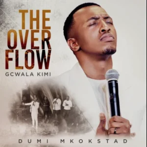 Dumi mkokstad songs