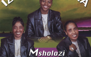 Izingane Zoma – Msholozi Album