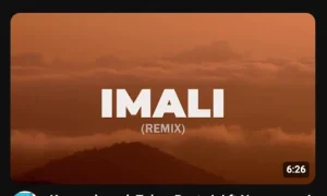 Karyendasoul, Zakes Bantwini ft Nana Atta – Imali (Mr Tiuze Remix)