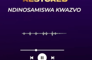 King David ft Min Michael Mahendere – Ndinofara
