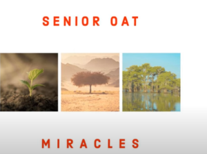 Senior Oat – The Only One Ft. Saltie