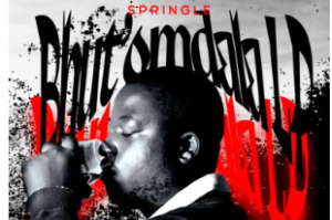 Springle – Dlala Ngamanzi Ft Mr Nation Thingz, AmaQhawe & Uncle Kay