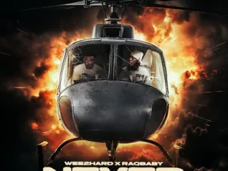 Wee2Hard & Raq Baby  Never Landing Mp3 Download